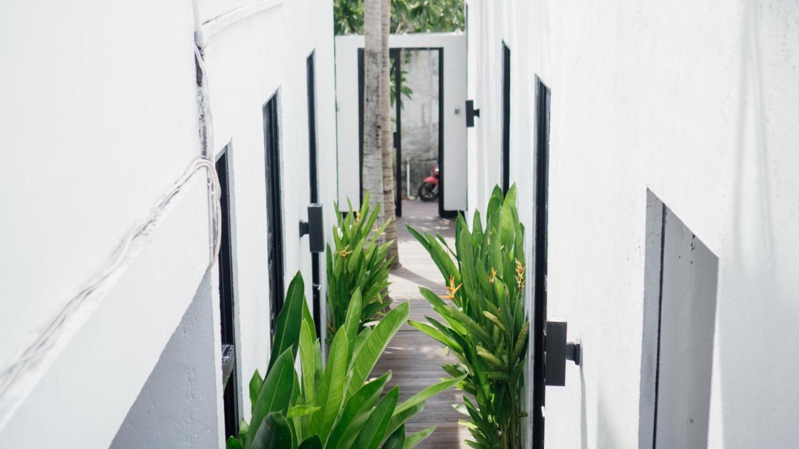 Escotel Jalak Canggu  Luaran gambar